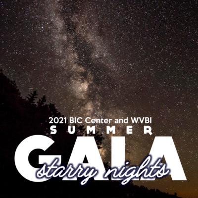 2021 Starry Nights Gala
