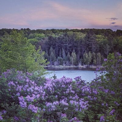 Barneys Lake View Lillacs BF 442479936_10229830430457737_373025004891389088_n