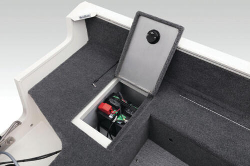 Starter battery